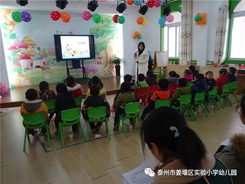 小荷已露尖尖角——實小幼兒園成長紀實